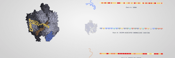 Molecule visualization prototype