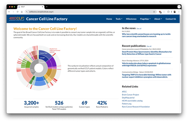 CCLF | PATTERN