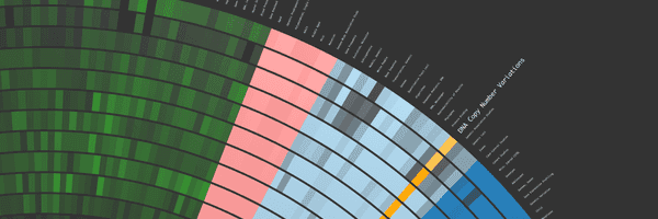 Polar plot visualization prototype
