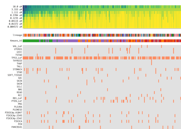 Aligned heatmaps of drug response across cell lines.