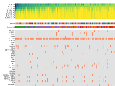 Aligned heatmaps of drug response across cell lines.