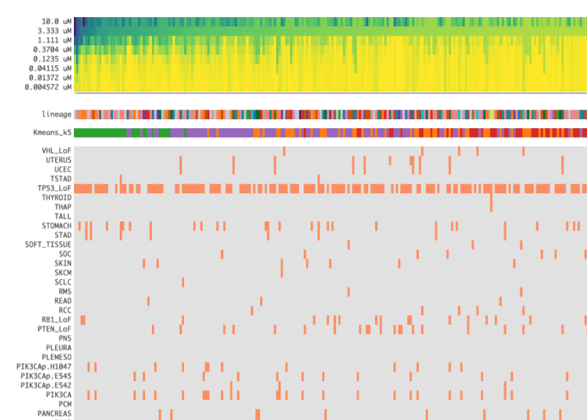 Aligned heatmaps of drug response across cell lines.