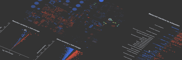 Visualizing reaction measurements in the context of metabolic pathways