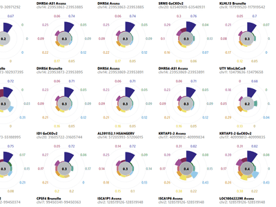 A visualization that looks like a flower, vizualizing divergent patterns of germline alterations across a individual's genome.