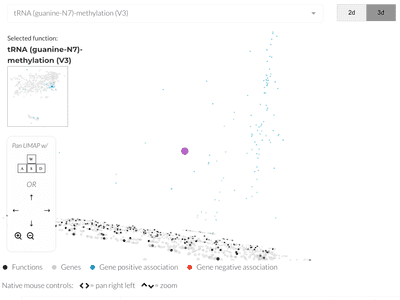 Screenshot of the Webster UMAP interface showing a 3d visualization with navigation controls.