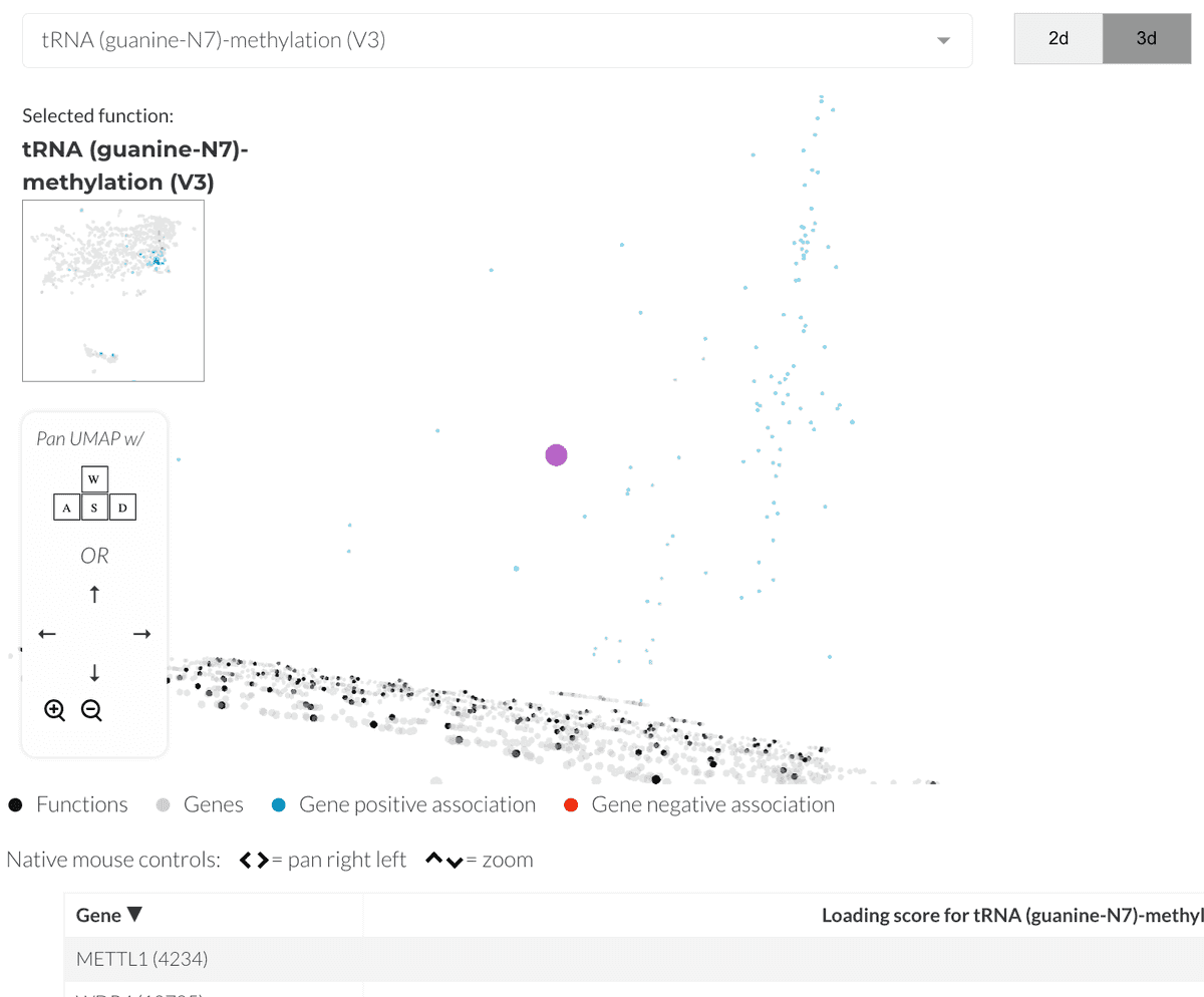 Screenshot of the Webster UMAP interface showing a 3d visualization with navigation controls.