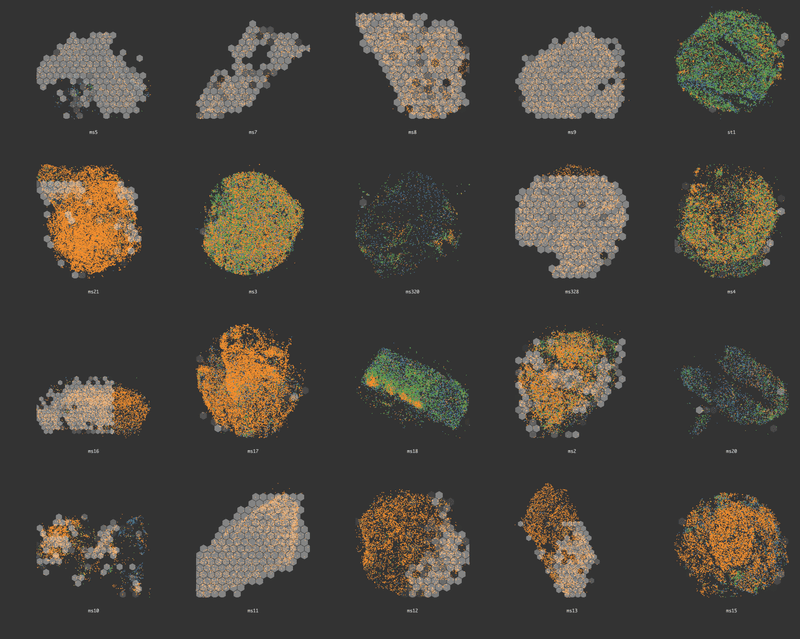 Grid of spatial cell data