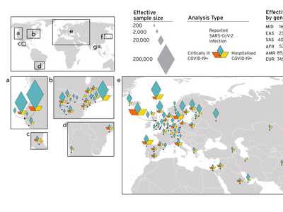 COVID HGI map of colored diamonds showing different genetic ancestry of Covid cases.