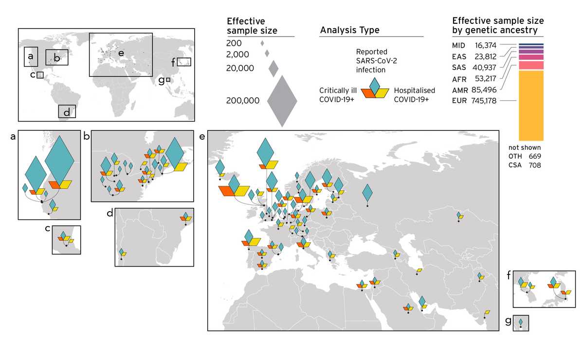 COVID HGI map of colored diamonds showing different genetic ancestry of Covid cases.