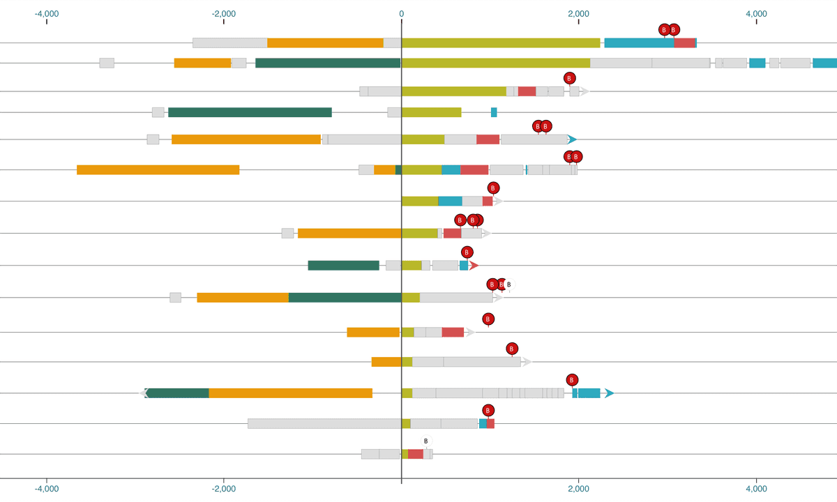 A visualization type called a Swimmer Plot which shows multiple colored bars. Each bar represents a single patient as they undergo cancer therapy and the various treatments they receive.