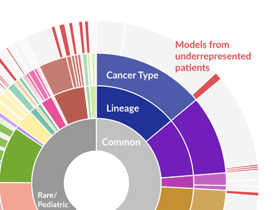 Sunburst plot where each color represents different cancer cell lines. The center circle divides cell lines into rare and pediatric versus common cell lines. From the innermost circle, the categories then sub-divide into lineage folowed by cancer type.