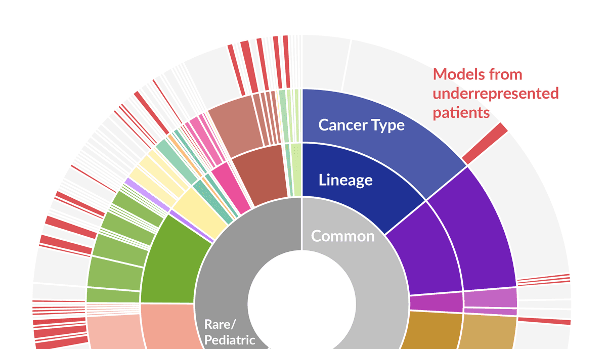 Sunburst plot where each color represents different cancer cell lines. The center circle divides cell lines into rare and pediatric versus common cell lines. From the innermost circle, the categories then sub-divide into lineage folowed by cancer type.