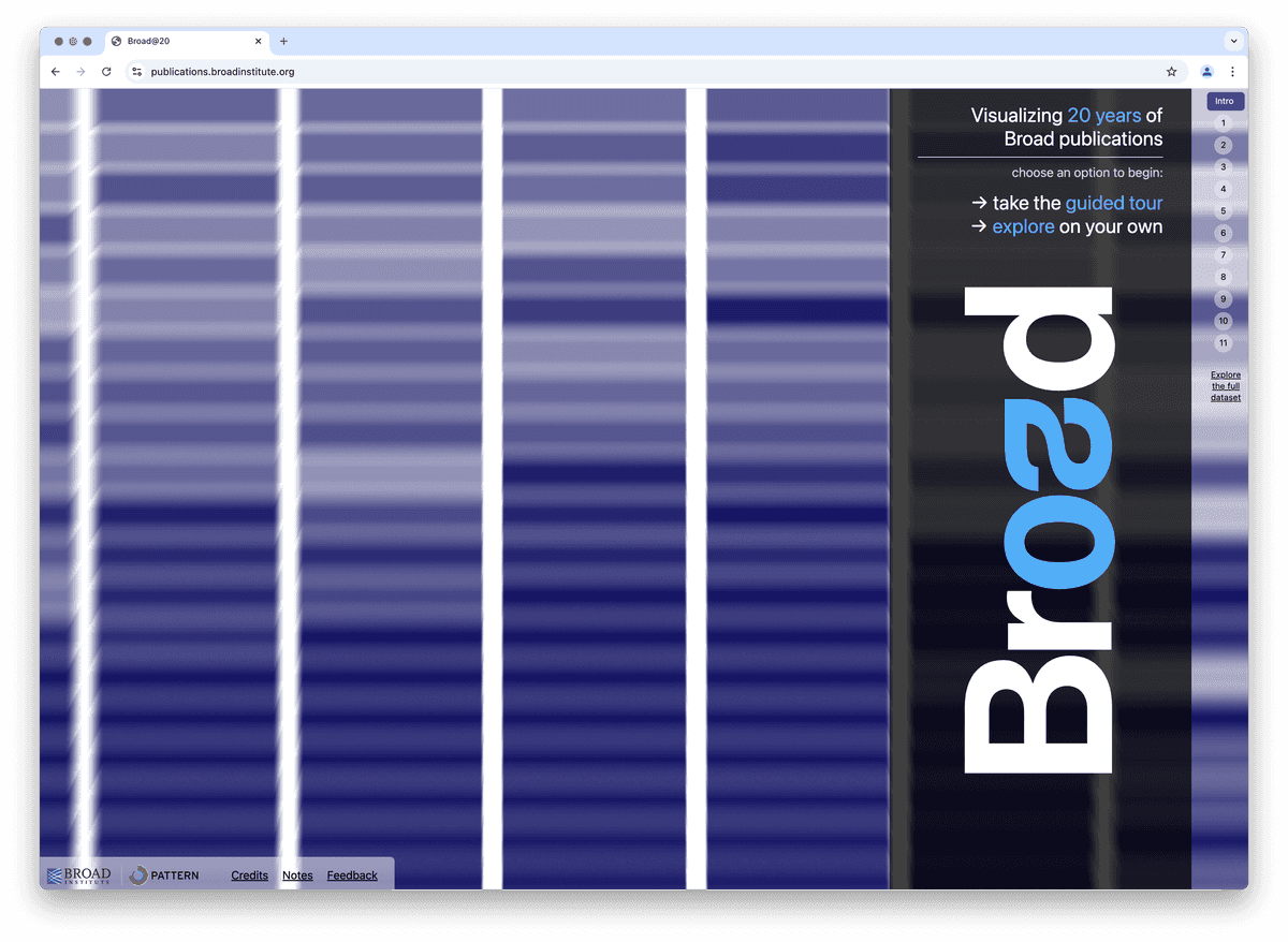 Publication Visualization screenshot 1